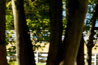 IH_NG_Oulton Park_181263