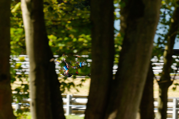 IH_NG_Oulton Park_181263