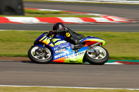 IH_NG_Oulton Park_185892