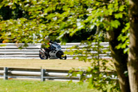 IH_NG_Oulton Park_182011