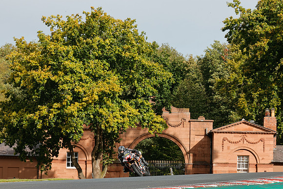 IH_NG_Oulton Park_193691