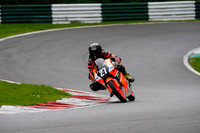 IH_NG_Cadwell Park_04649
