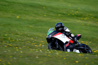 IH_NG_Cadwell Park_07557