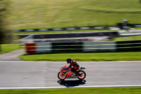 IH_NG_Cadwell Park_06877