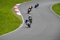 IH_NG_Cadwell Park_14650