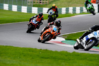 IH_NG_Cadwell Park_13287