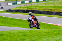 IH_NG_Cadwell Park_05879