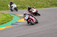 IH_NG_Anglesey_28820